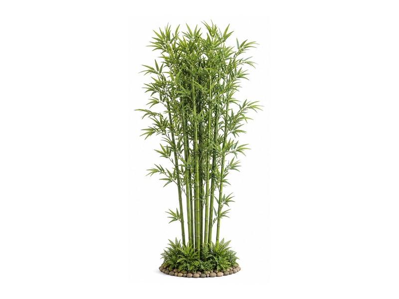 Bamboo cluster