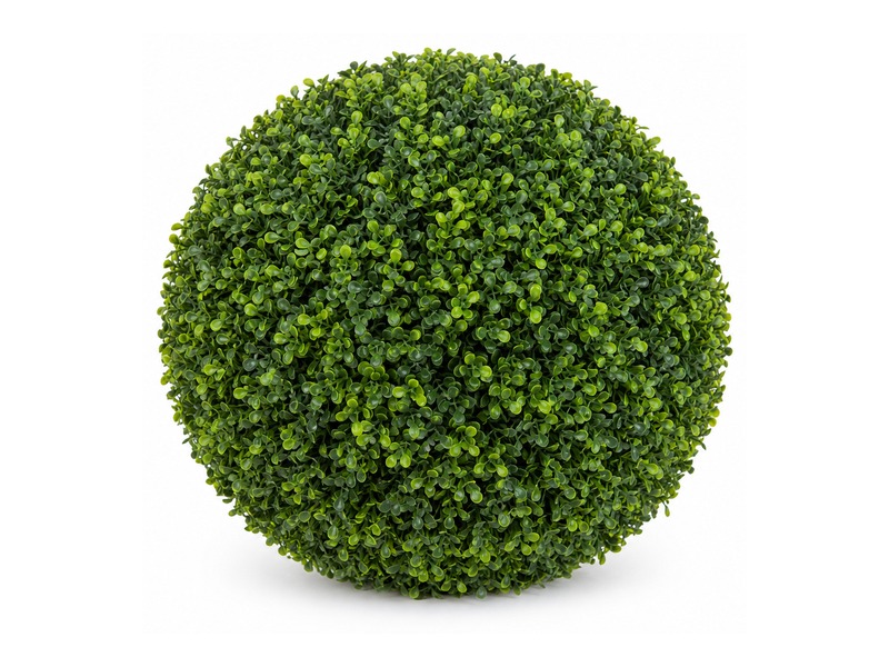 Boxwood topiary ball
