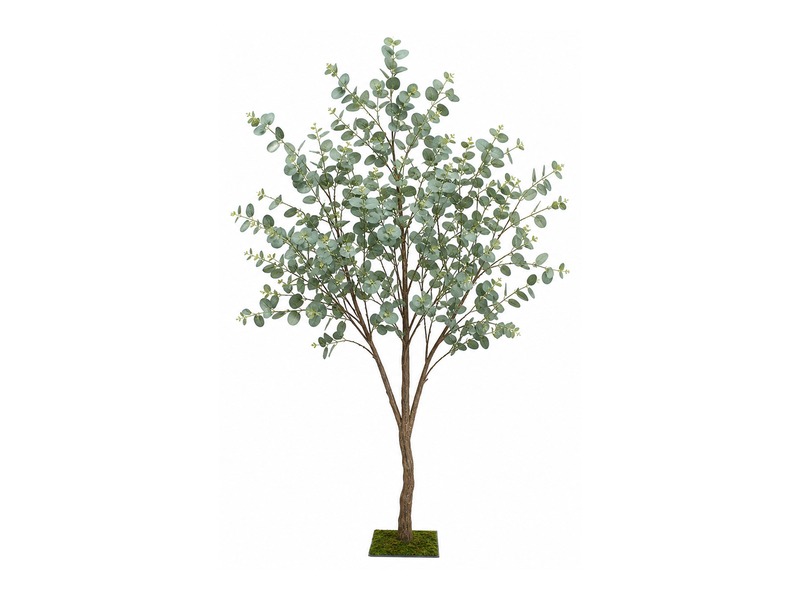 Eucalyptus foliage stems