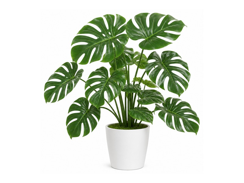 Artificial potted monstera plant
