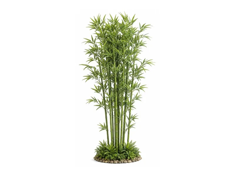 Bamboo Cluster
