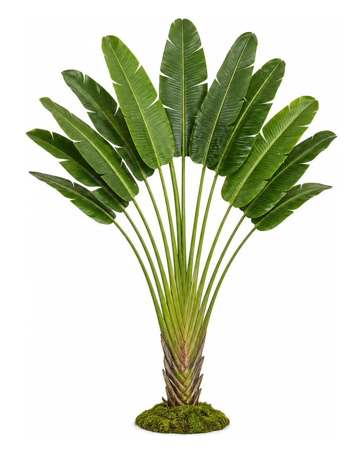 Artificial traveler's palm